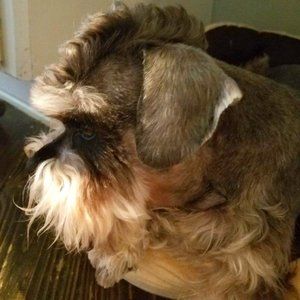 Meet your Posher, Angela